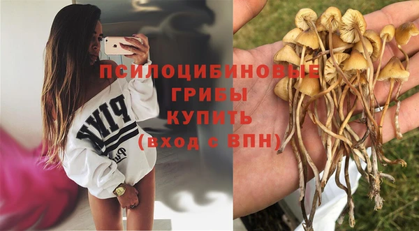альфа пвп Гусь-Хрустальный