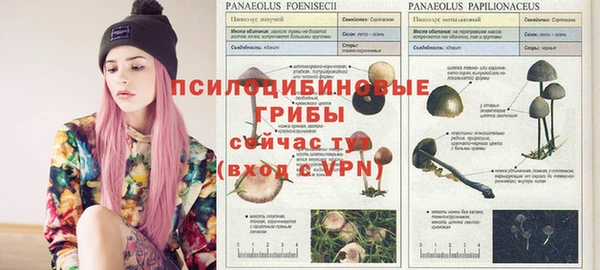 амфетамин Сафоново